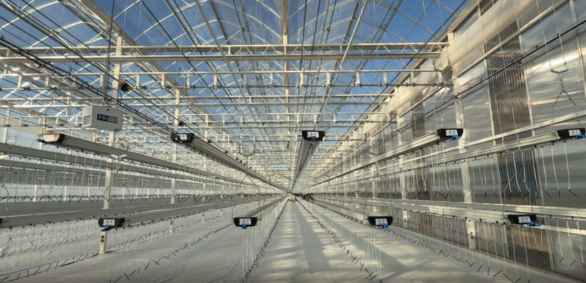 20260521111517_eb9198089c221a705744305d34d646ab_1v0s.png